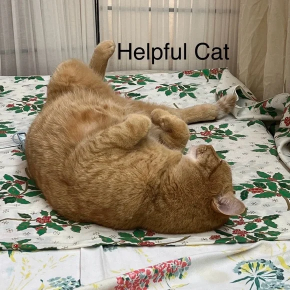 Botanic Garden Portmeirion Sugar Pot Gossypium Design Vintage Ceramic Bowl 4inch - Picture 8 of 8